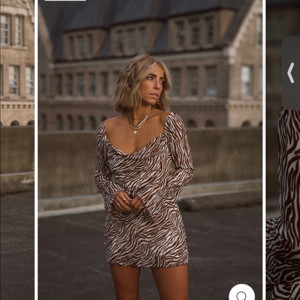 12th Tribe KENYA BROWN ZEBRA MINI DRESS NWT‼️